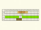  Life stages table Copyright Martin Evans 