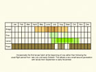  Life stages table Copyright Martin Evans 