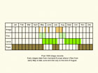  Life stages table Copyright Martin Evans 