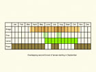  Life stages table Copyright Martin Evans 