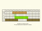  Life stages table Copyright Martin Evans 