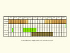  Life stages table Copyright Martin Evans 