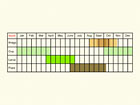  Life stages table Copyright Martin Evans 