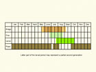  Life stages table Copyright Martin Evans 