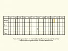  Life stages table Copyright Martin Evans 