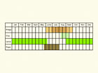  Life stages table Copyright Martin Evans 