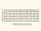  Life stages table Copyright Martin Evans 
