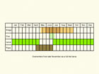  Life stages table Copyright Martin Evans 