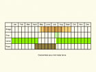  Life stages table Copyright Martin Evans 