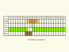  Life stages table Copyright Martin Evans 