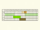  Life stages table Copyright Martin Evans 