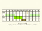  Life stages table Copyright Martin Evans 