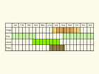  Life stages table Copyright Martin Evans 