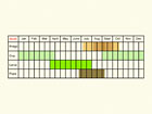  Life stages table Copyright Martin Evans 