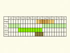  Life stages table Copyright Martin Evans 