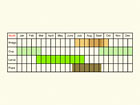  Life stages table Copyright Martin Evans 