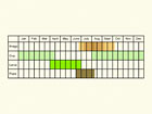  Life stages table Copyright Martin Evans 