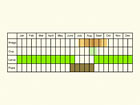  Life stages table Copyright Martin Evans 