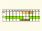  Life stages table Copyright Martin Evans 