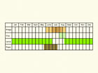  Life stages table Copyright Martin Evans 
