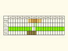  Life stages table Copyright Martin Evans 