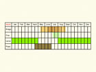  Life stages table Copyright Martin Evans 