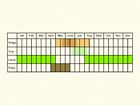  Life stages table Copyright Martin Evans 
