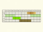  Life stages table Copyright Martin Evans 