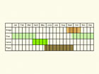  Life stages table Copyright Martin Evans 