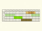  Life stages table Copyright Martin Evans 