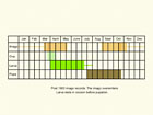  Life stages table Copyright Martin Evans 