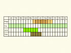  Life stages table Copyright Martin Evans 