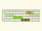 Life stages table Copyright Martin Evans 
