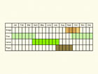  Life stages table Copyright Martin Evans 