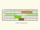  Life stages table Copyright Martin Evans 