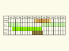  Life stages table Copyright Martin Evans 