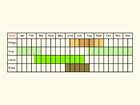  Life stages table Copyright Martin Evans 