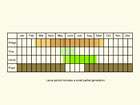  Life stages table Copyright Martin Evans 