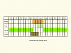  Life stages table Copyright Martin Evans 