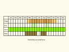  Life stages table Copyright Martin Evans 