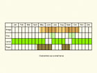  Life stages table Copyright Martin Evans 