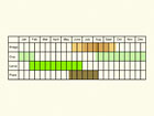  Life stages table Copyright Martin Evans 