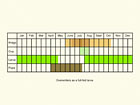  Life stages table Copyright Martin Evans 