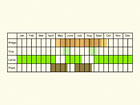  Life stages table Copyright Martin Evans 
