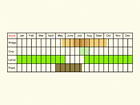  Life stages table Copyright Martin Evans 