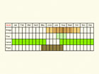  Life stages table Copyright Martin Evans 