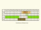  Life stages table Copyright Martin Evans 