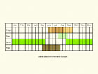  Life stages table Copyright Martin Evans 