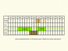  Life stages table Copyright Martin Evans 