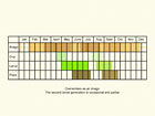  Life stages table Copyright Martin Evans 